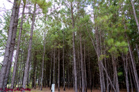 CampSouth RV Park