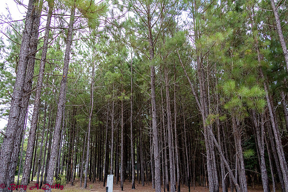 baduffy-200726-Campsouth RV Park--2